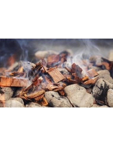 S&M Fire Chips de Humo - Kit 3 Olores