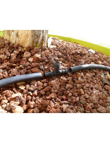 Te de 16 mm con conexión central roscada de 1/2" | S&M Garden