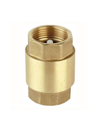 Válvula de latón de extracción y retención para bombeo | S&M Garden