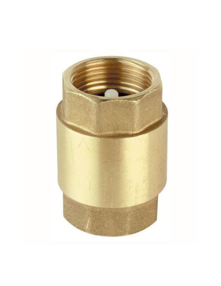 Válvula de latón de extracción y retención para bombeo | S&M Garden