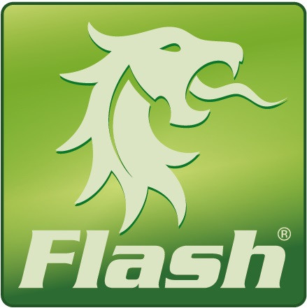 Flash